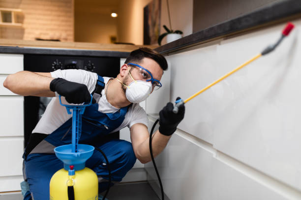Best Termite Control Services  in Prces Lakes, IN