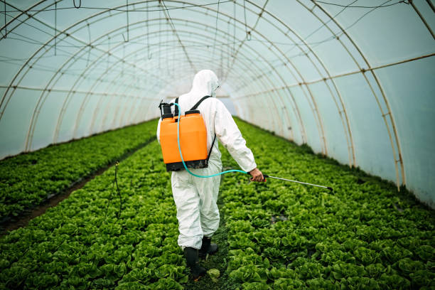 Best Pest Removal Services  in Prces Lakes, IN