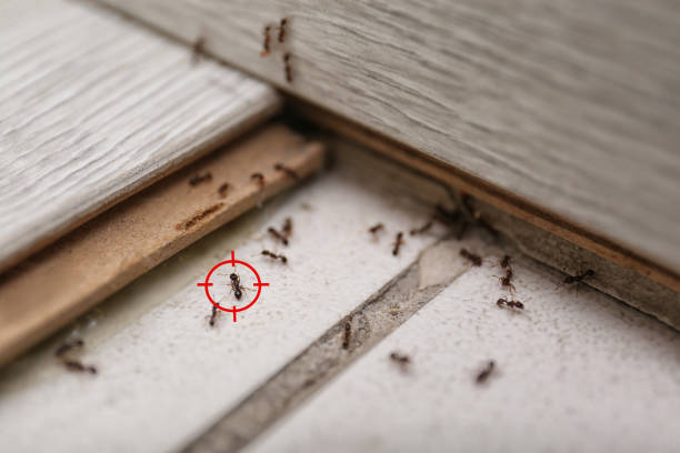 Best Pest Inspection Near Me  in Prces Lakes, IN