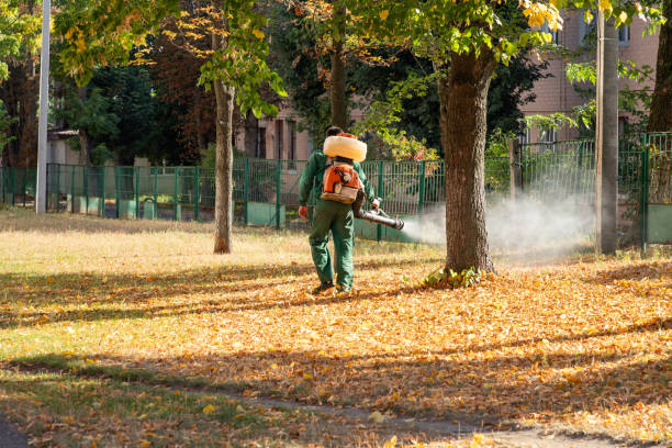 Best Cockroach Control Services  in Prces Lakes, IN