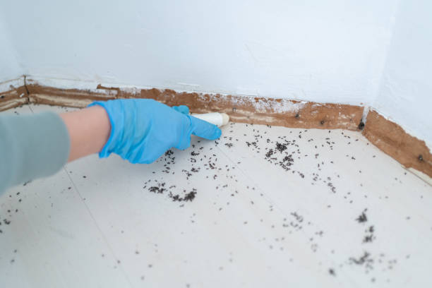 Best Local Pest Control Services  in Prces Lakes, IN