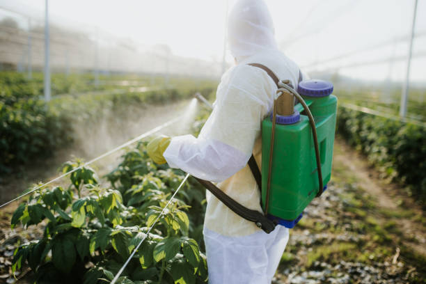 Best Pest Control Near Me  in Prces Lakes, IN